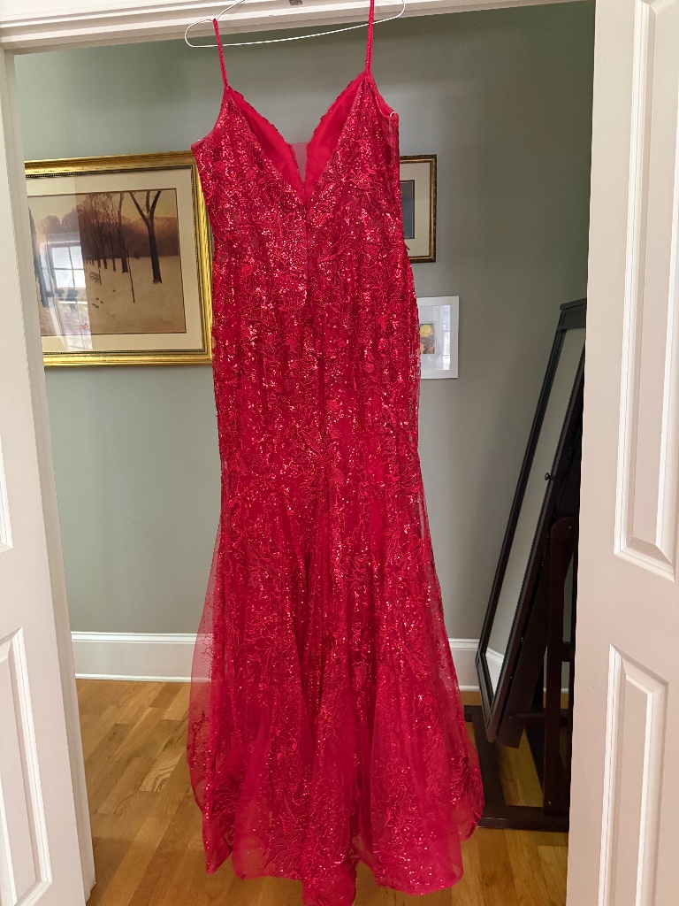 Beautiful Elllie Wilde Mon Cheri Gown